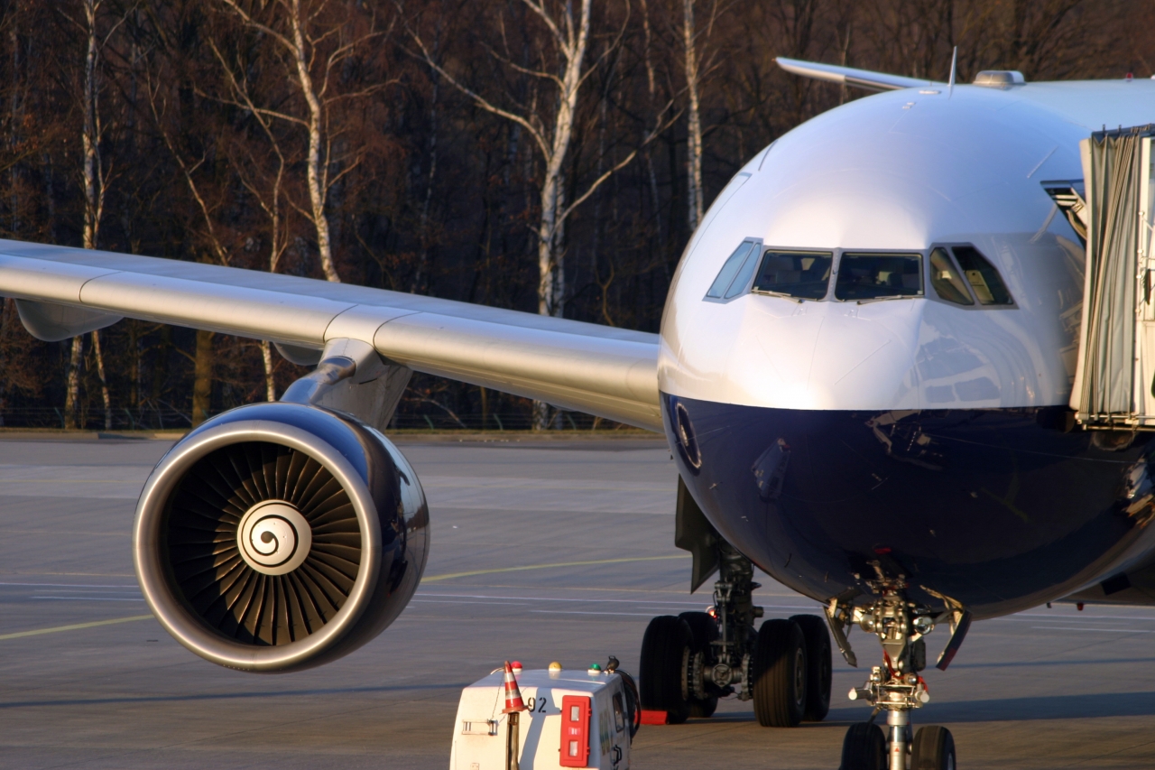 D-AXEL Blue Wings A330-330