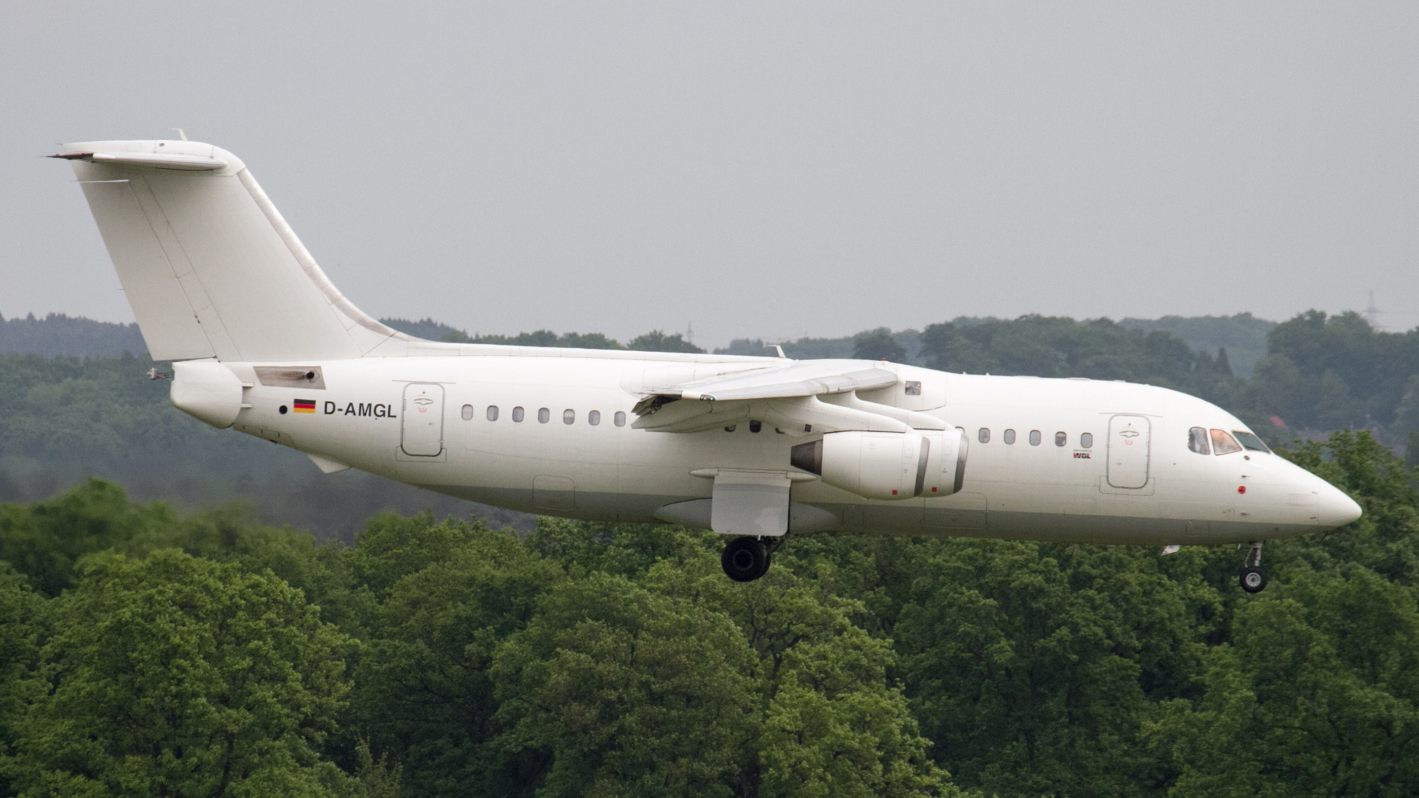 D-AMGL