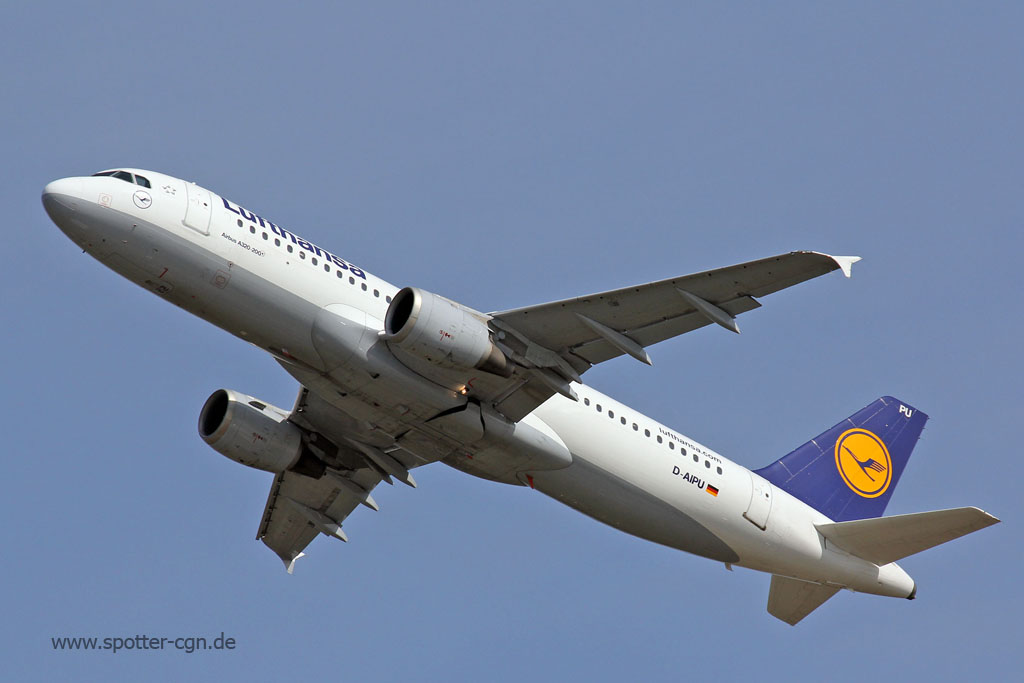 D-AIPU