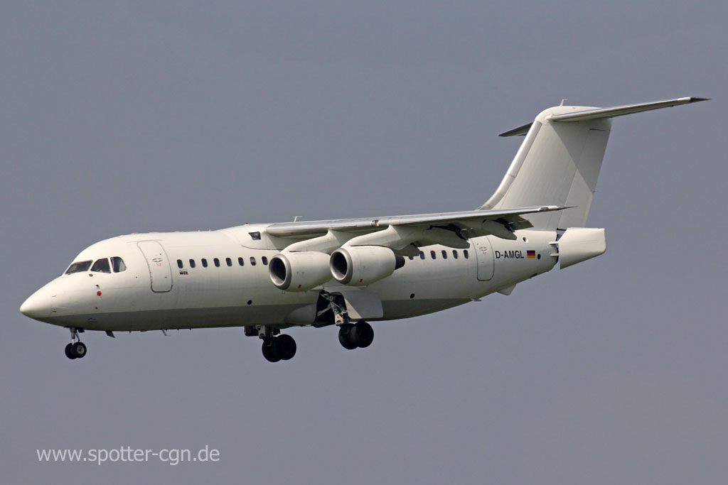 D-AMGL
