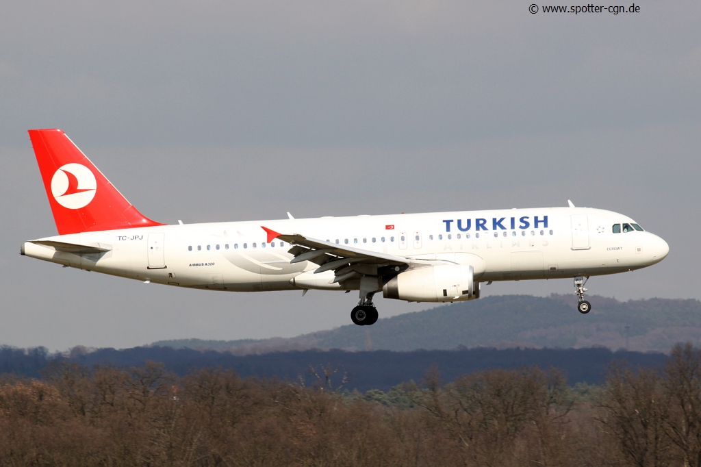 tcjpj_0135-300309
